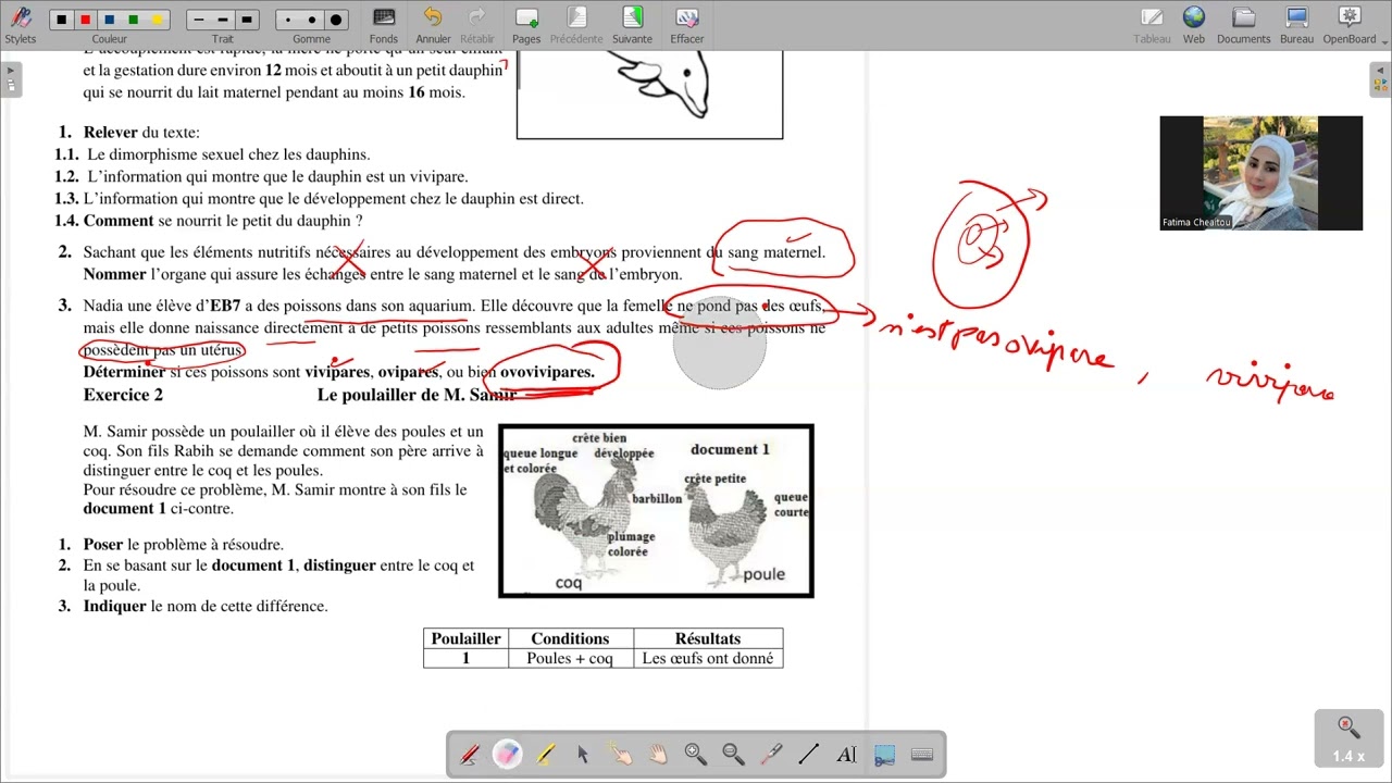 Bio EB7 correction de la fiche de révision