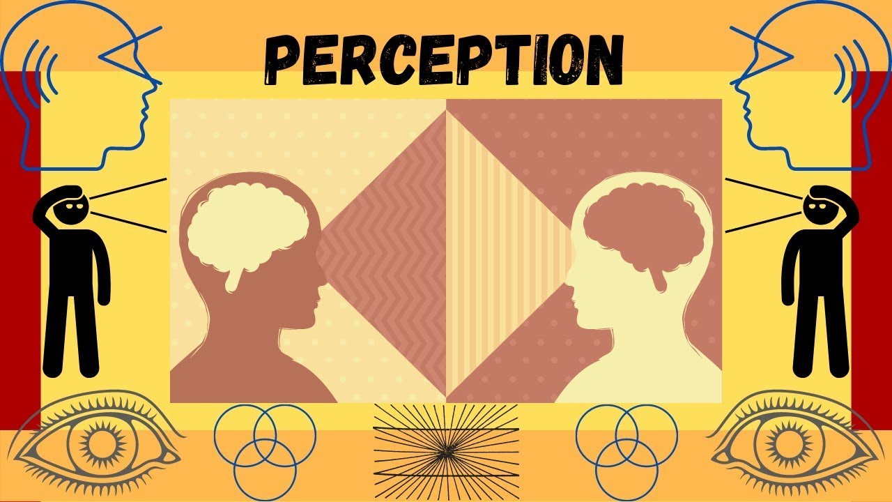 What is Perception? Faculties of the Mind