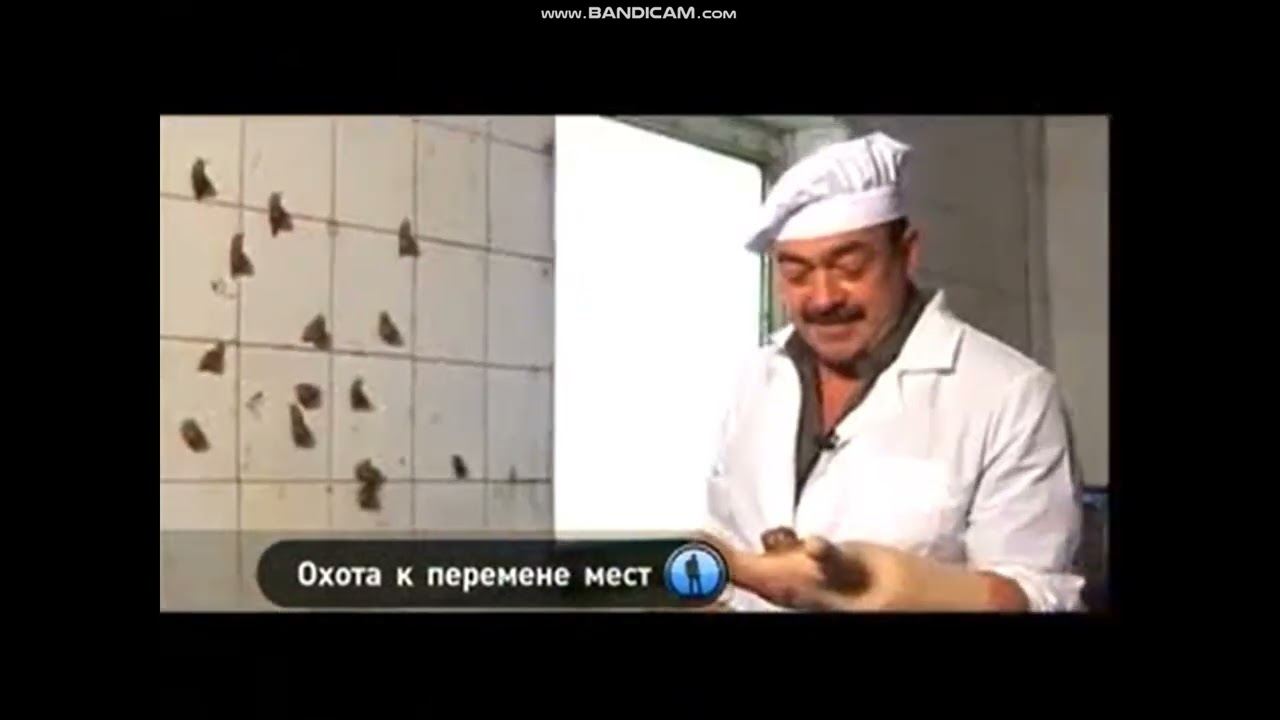 Фрагмент эфира Моя планета, 2010 не с перегонным глюком, а с оригиналом