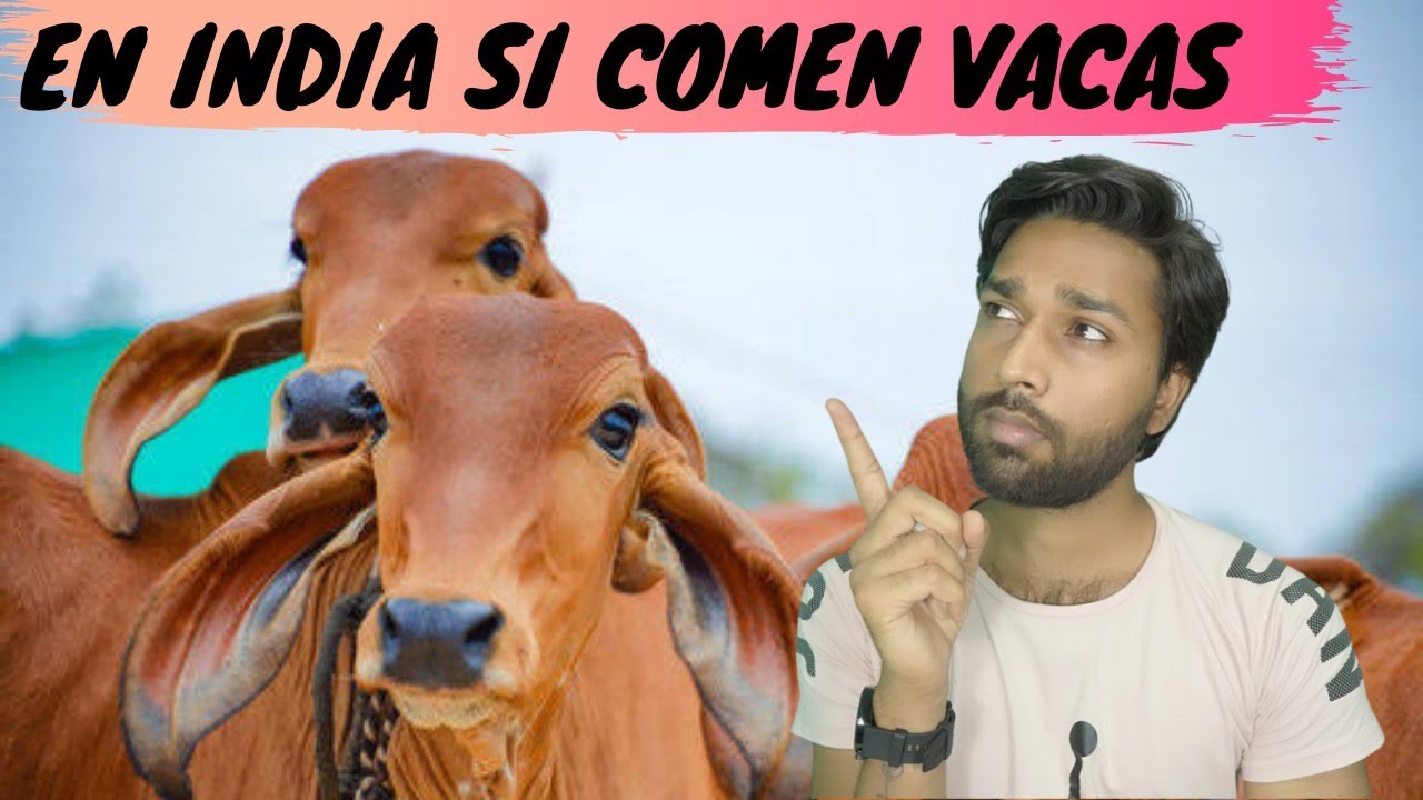 EL VEGETARIANISMO EN INDIA~ es solo un estereotipo