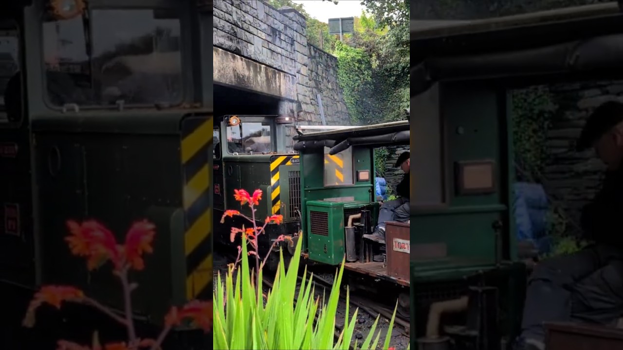 🚆🛤️ Trecwn and Toby Head up the Line #railway #trains #shorts