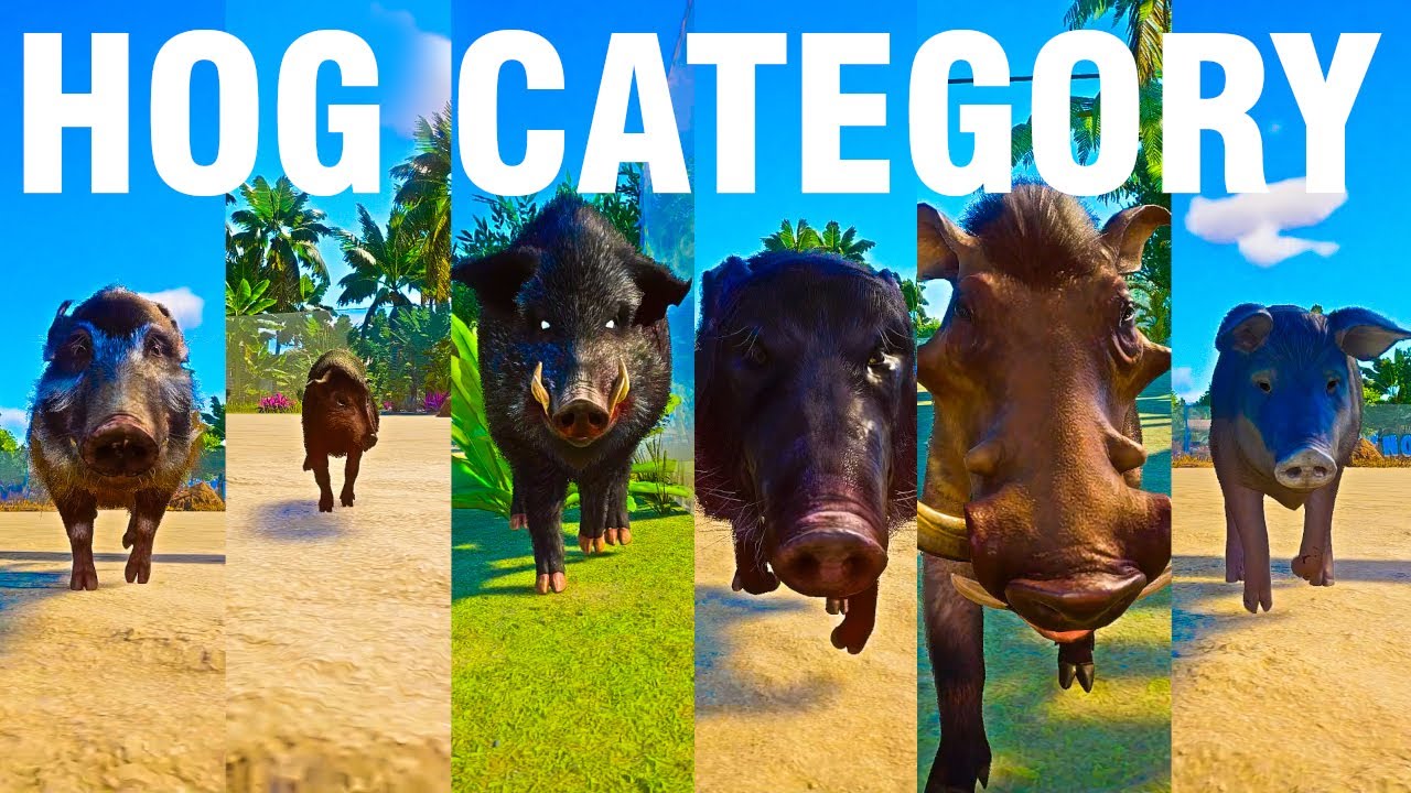 Hog Category Speed Race in Planet Zoo included American Guinea Hog, Giant Forest Hog, Hogzilla