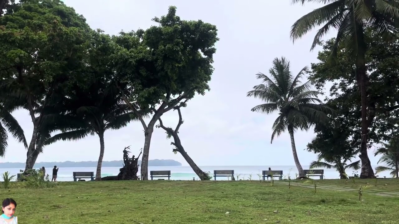 Flying colors 🦋🍃Amazing Andaman.🌴 