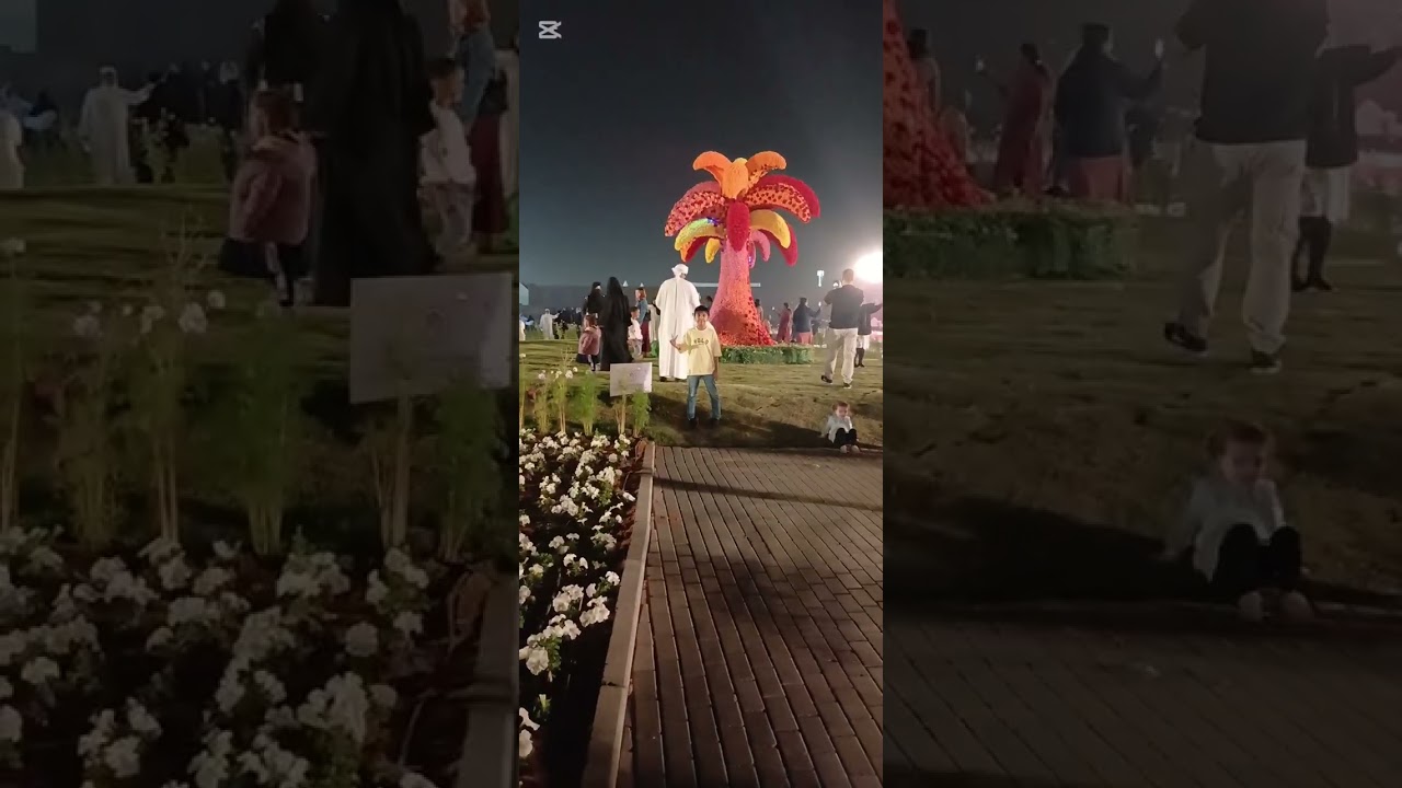 Saroj festival 
