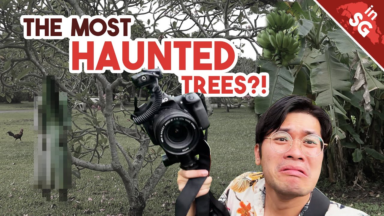 Which Trees Got Pontianak?? | Halloween Special