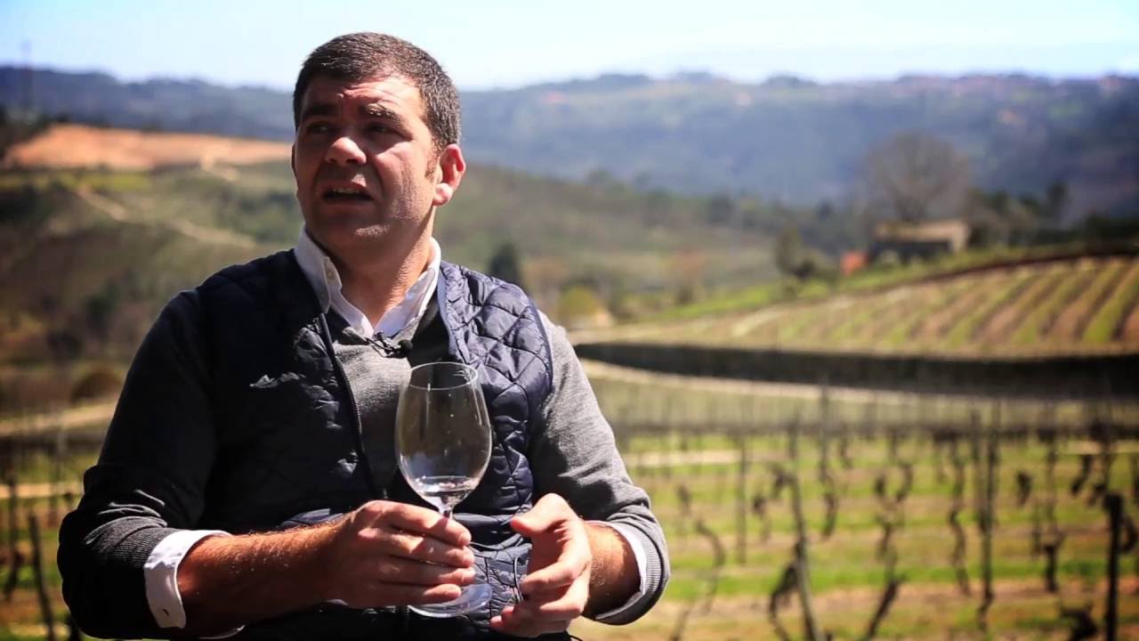 ESSÊNCIA DO VINHO TV | A Essência | episódio 20