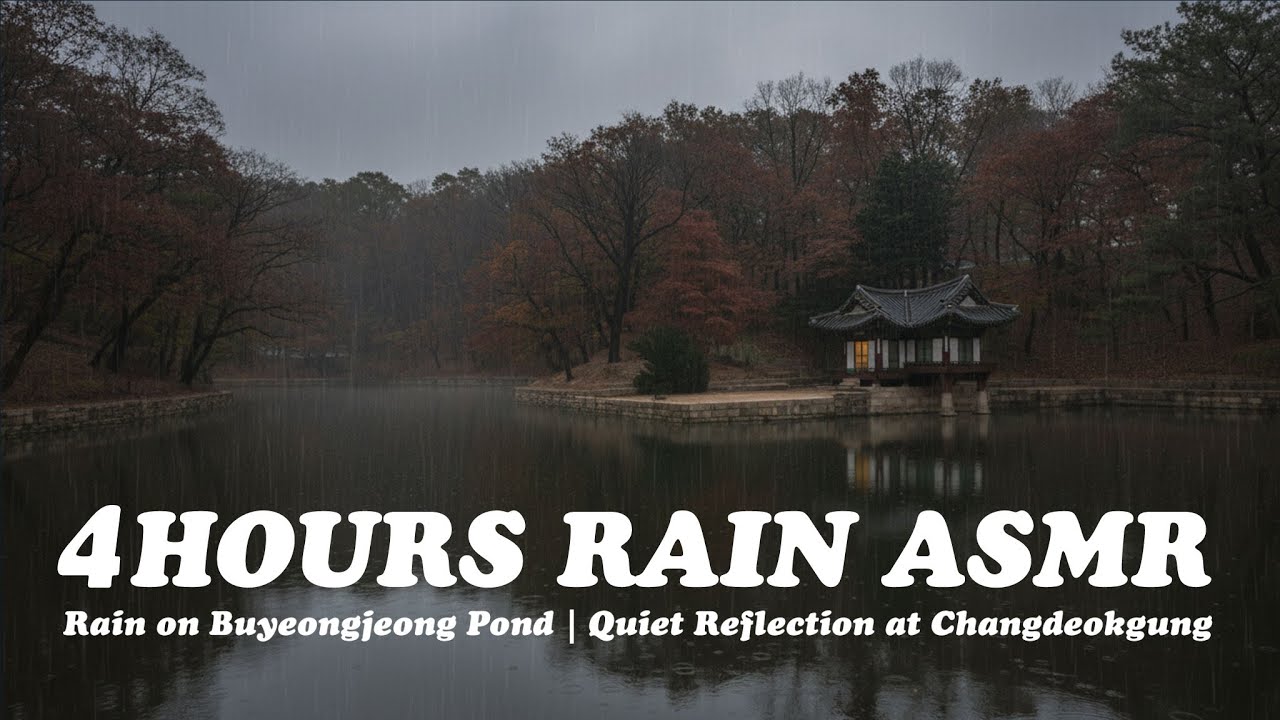 Rain on Buyeongjeong Pond | Quiet Reflection at Changdeokgung