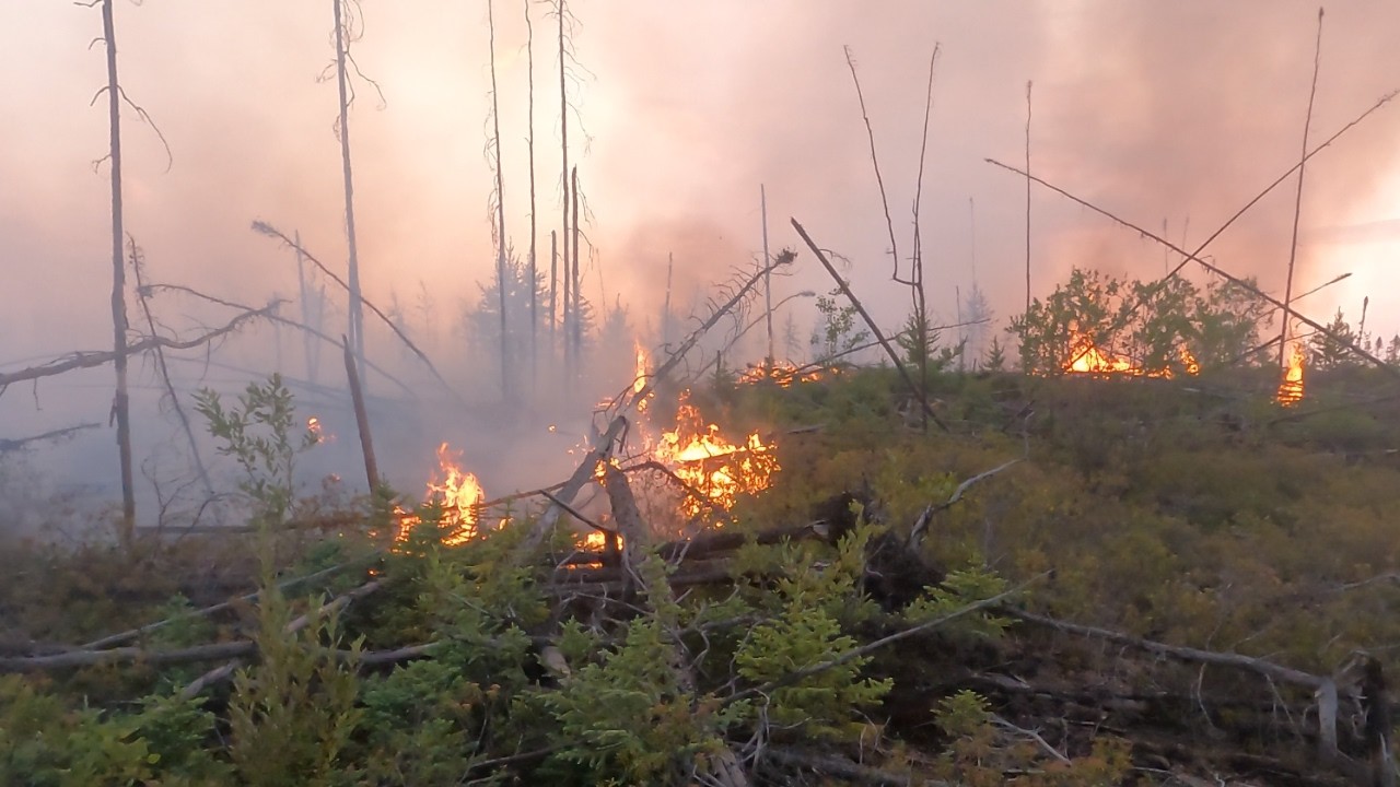 Лесной пожар в удаленном рыболовном домике Off Grid