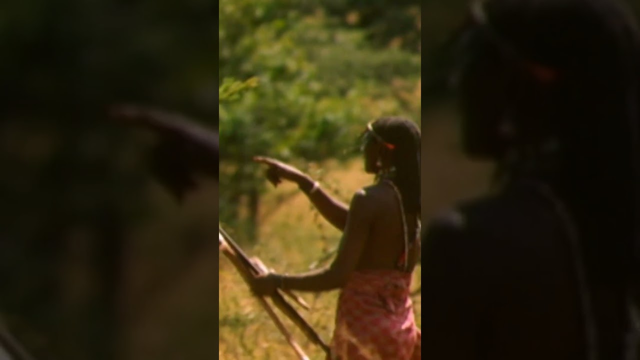 Les Maasaï et les Lions