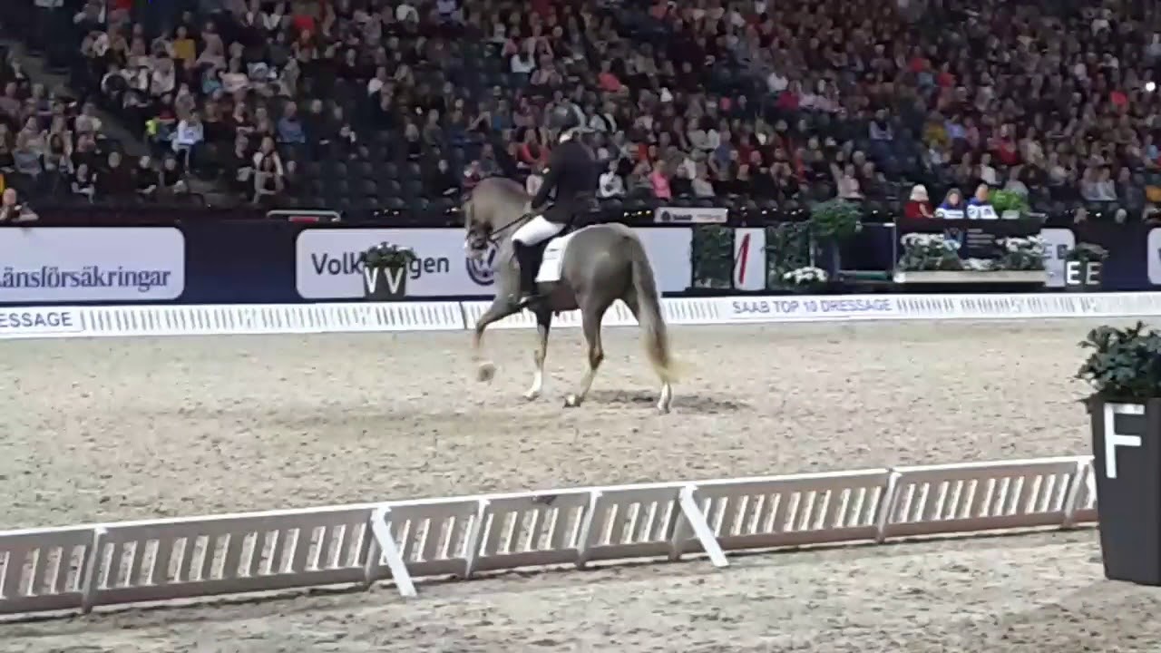 171203 Sandra AW och Money Boy ponnykür Sihs