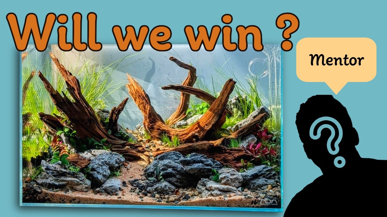 My First LIVE Aquascaping Competition EVER