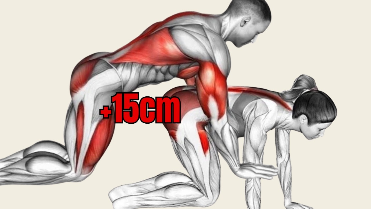【7分・毎日習慣】安定とコントロールを高める骨盤底筋トレーニング｜男性向けコンパクトルーティン