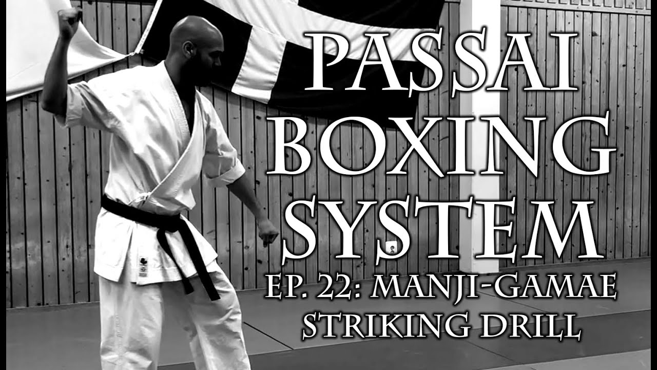 Johannes Regell - Passai Boxing System ep 22 - Manji-Gamae striking application