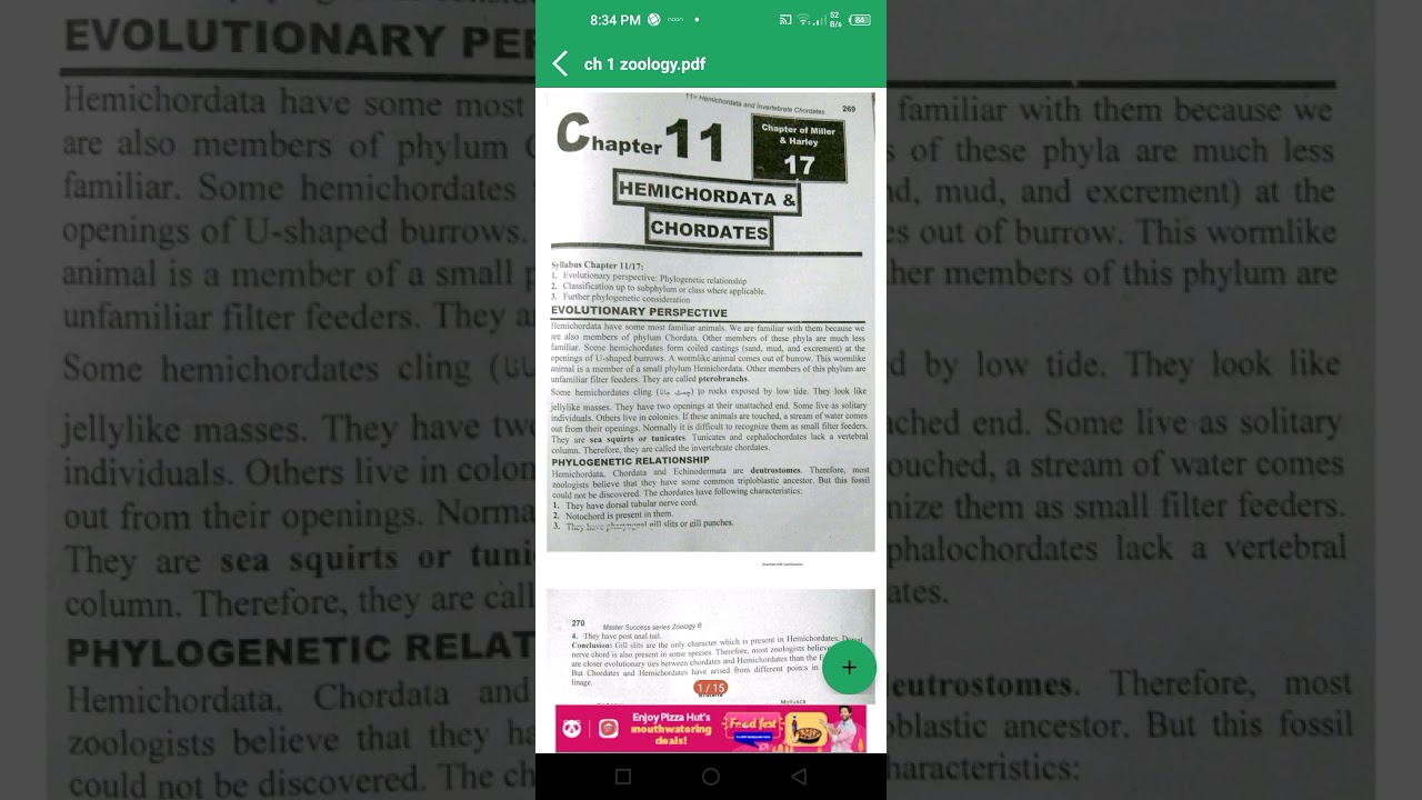 chordates and hemichordates# evolutionary perspective