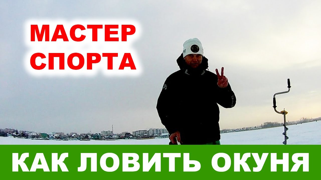 Как ловить окуня зимой. Советы мастера спорта (2020)