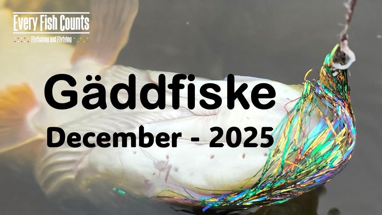 Gäddfiske - December - 2025