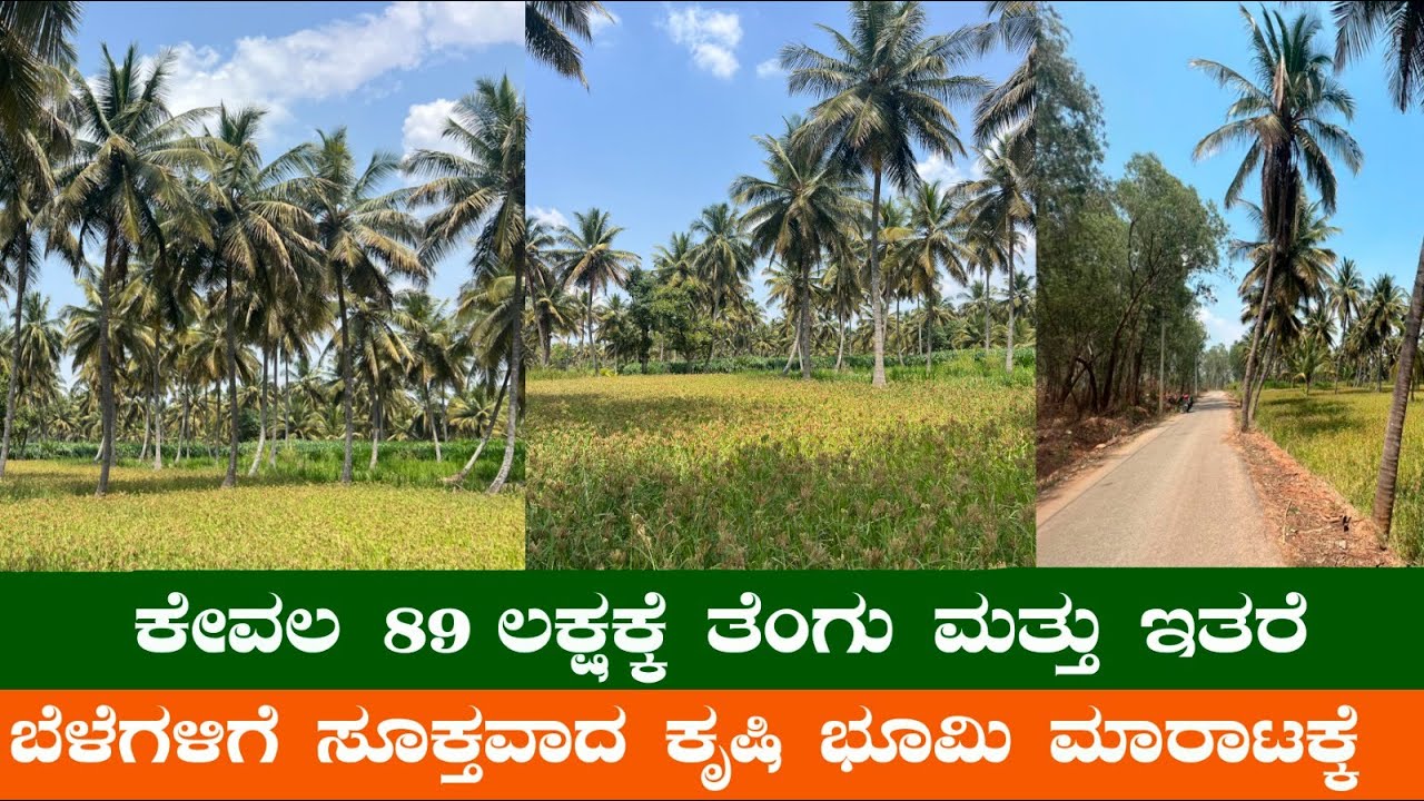 2 Acre Coconut Garden for Sale|| Agricultural Land For Sale || 7975356662/8553863957