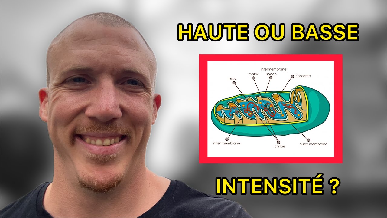 Comment Optimiser ton Développement Mitochondrial? - PDJ #464