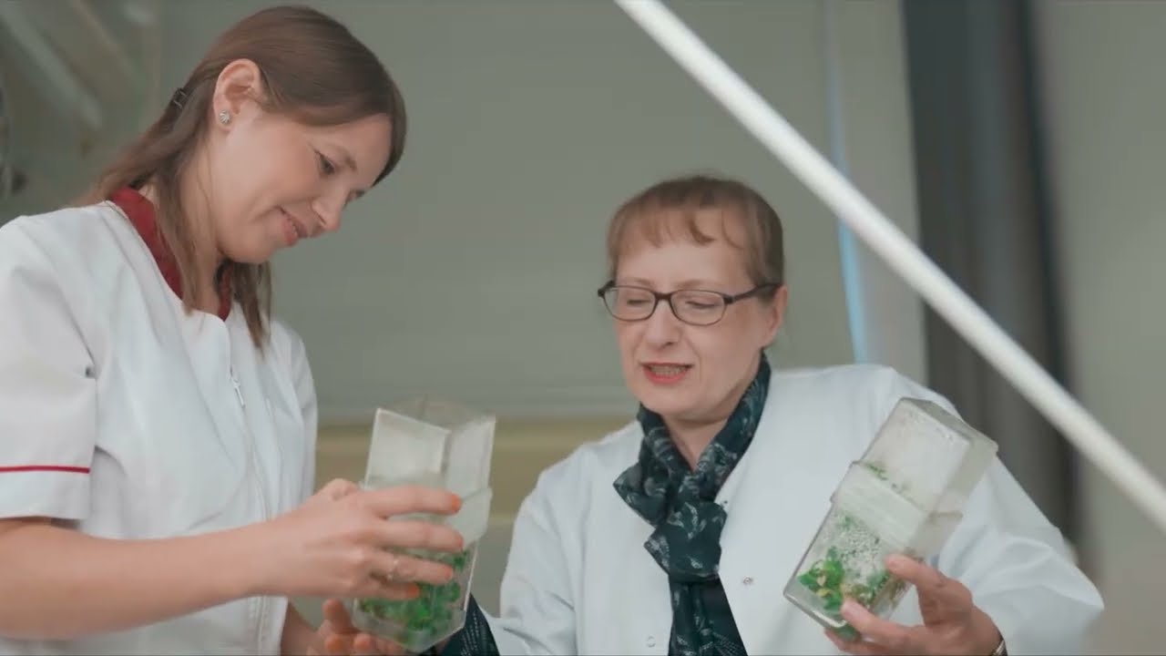 FarU ForU - wsp&oacute;lny punkt kontaktowy dla biznesu