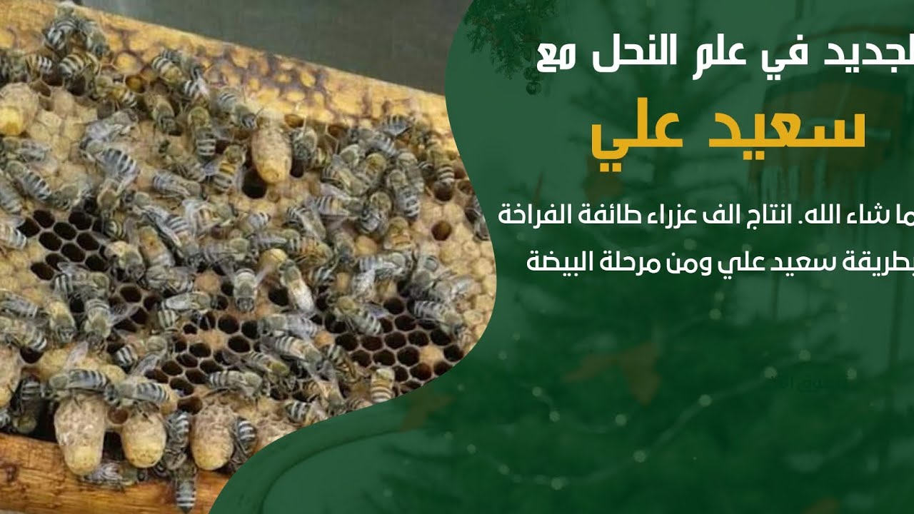 ١٧ مارس ٢٠٢٤