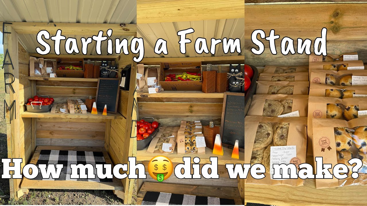 🌻 Welcome to Our Farm Stand | Our Farm Stand Earnings | What We Sold & How Much We Made | MEGA MOM