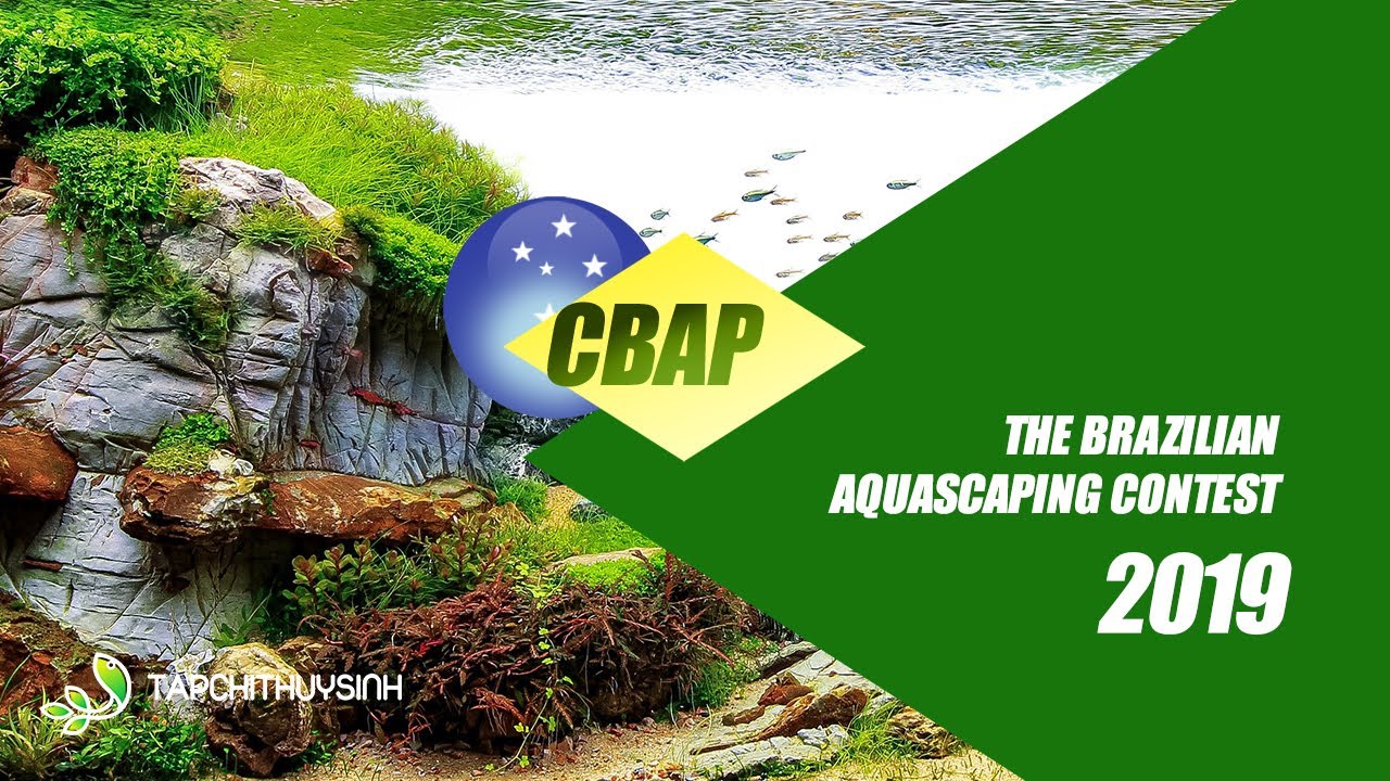 CBAP 2019 - Brazilian Aquascaping Contest 2019
