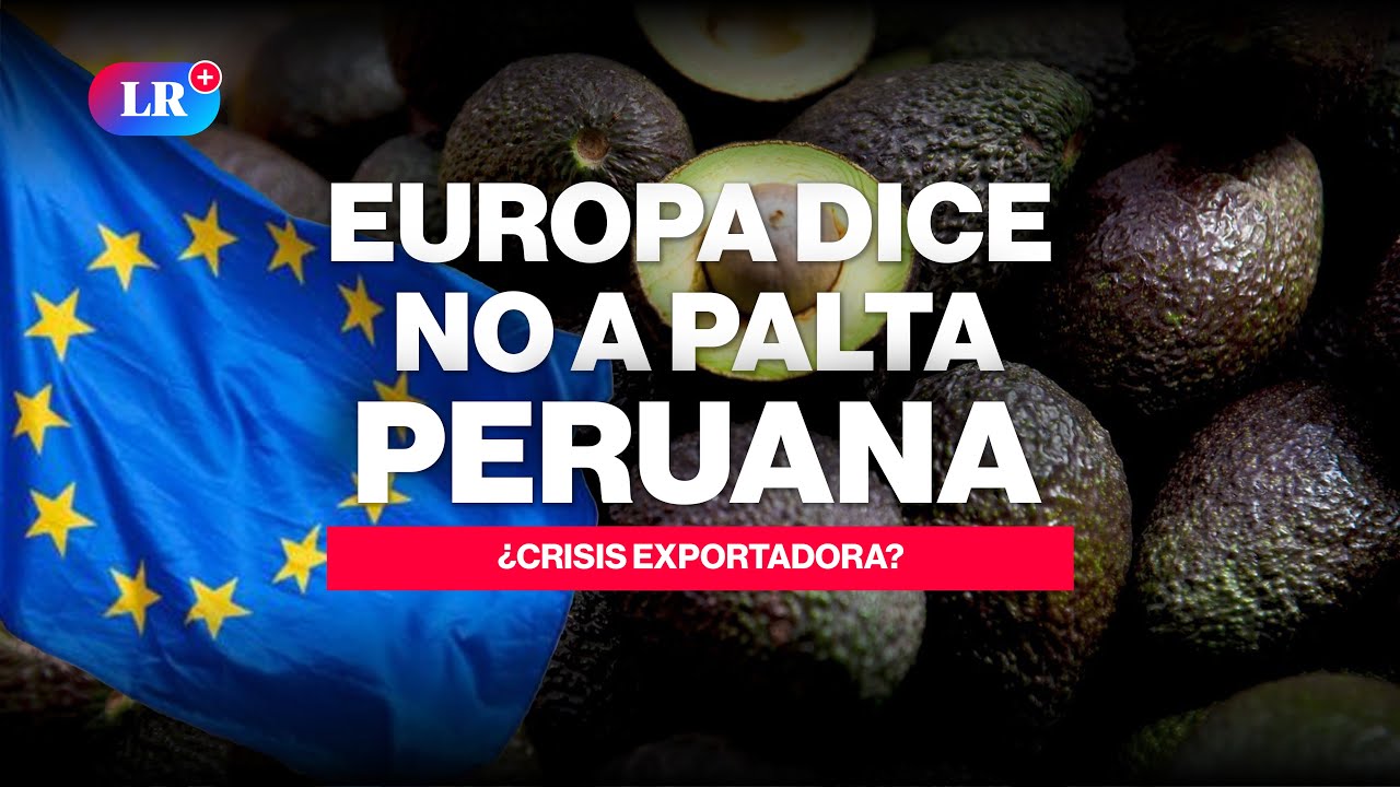 🚨🥑EUROPA RECHAZA la PALTA HASS peruana #NewsLR #PaltaHass #ExportacionesPeruanas