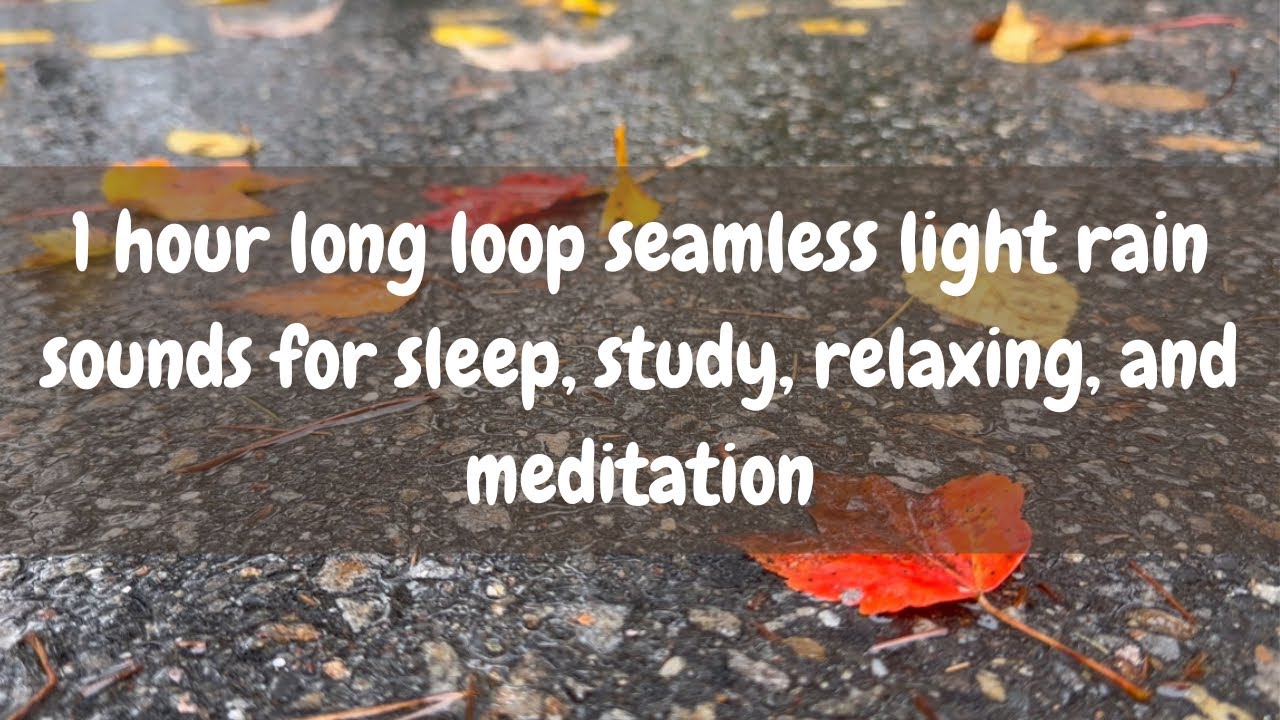 1 hour long loop seamless light rain sounds for sleep, study, relaxing, and meditation