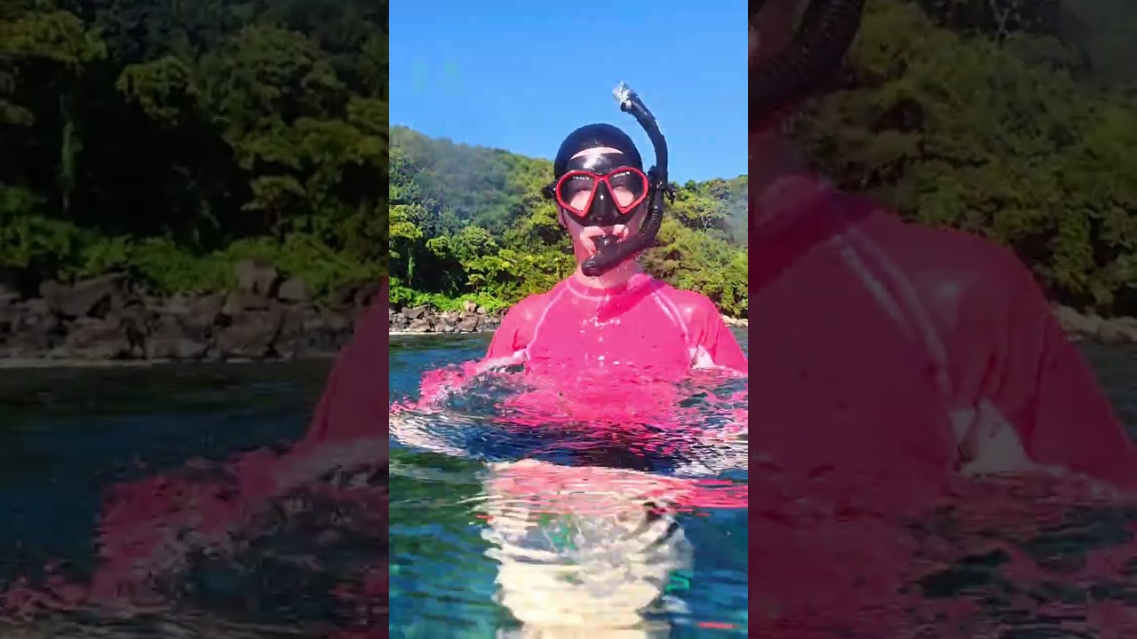 🎥 🤿 Discover the vibrant underwater world of Mantaray Island's coral reef with us