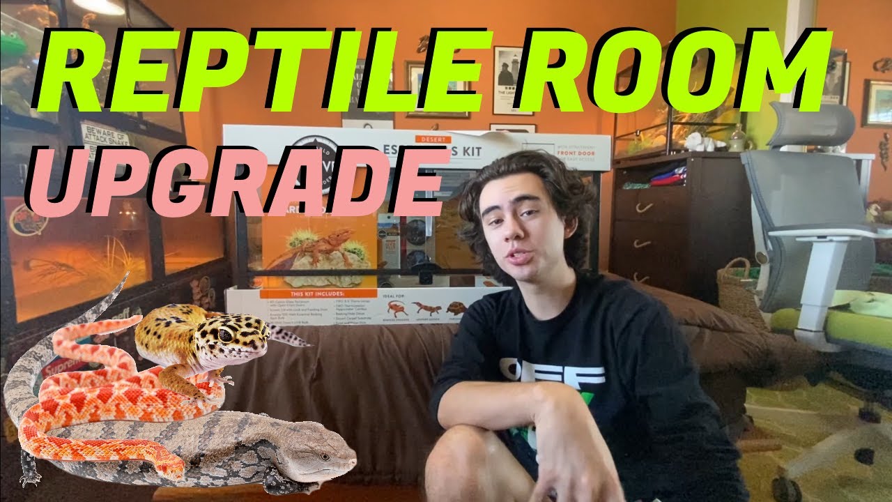 Upgrading My Reptile Room!