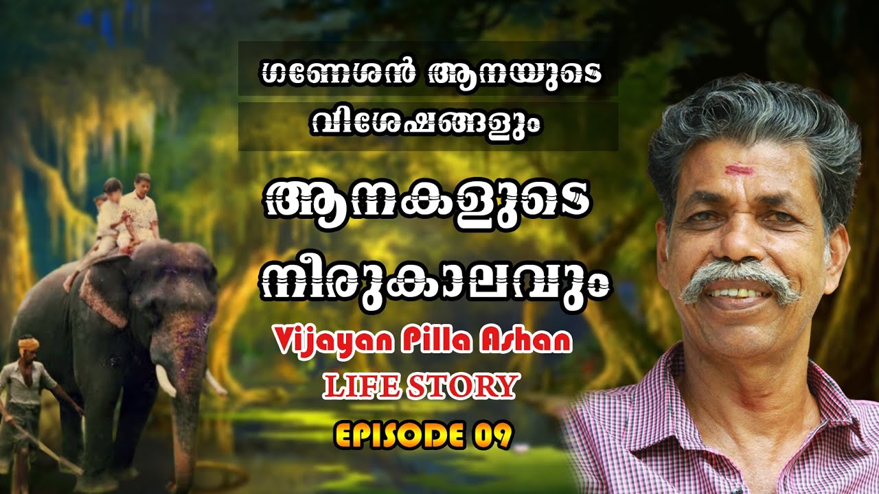 ഗണേശൻ ആനയുടെ വിശേഷങ്ങളും ..ആനകളുടെ നീരുകാലവും I EPISODE 09  I MUTHUKULAM VIJYAN PILLA ASHAN