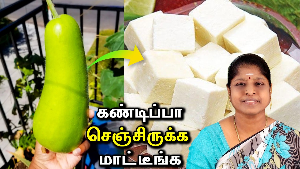 சுரக்காயை வெச்சி இதுவரைக்கும் இந்த மாதிரி நீங்க செஞ்சிருக்கவே மாட்டீங்க | ரொம்பவே புதுமையான ரெசிபி