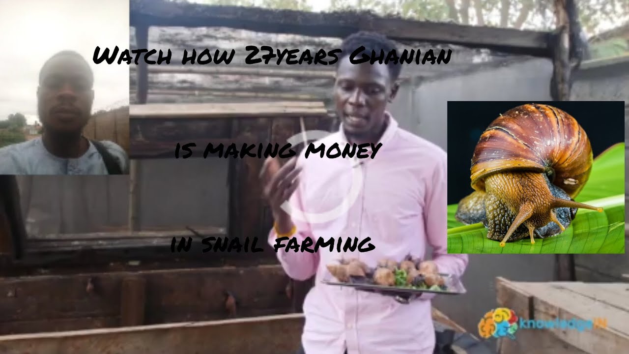 HOW A 27YEARS GHANIAN IS MAKING MONEY IN SNAIL FARMING