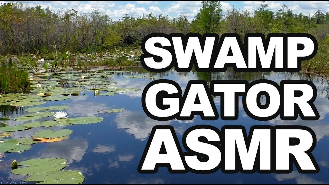 ASMR Nature Sounds, Alligator, Water Splash, Ambient, Bird Chirping, Relaxing, HD Video