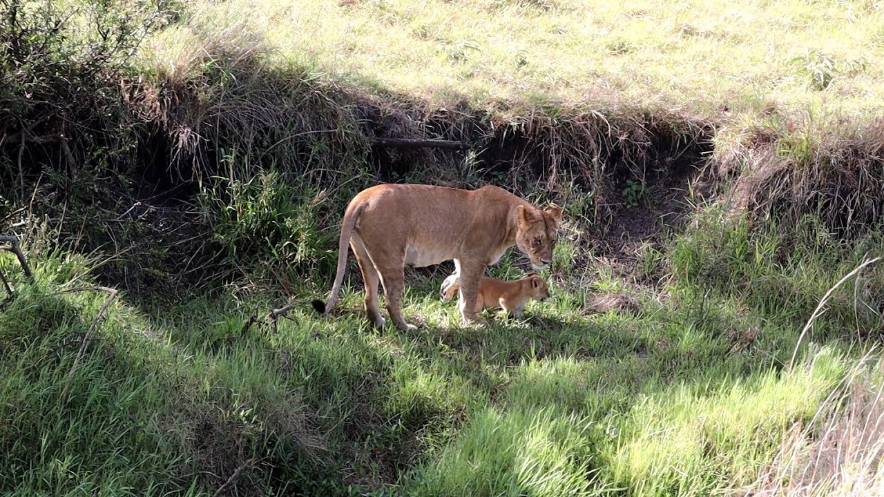 Tanzania Part 3