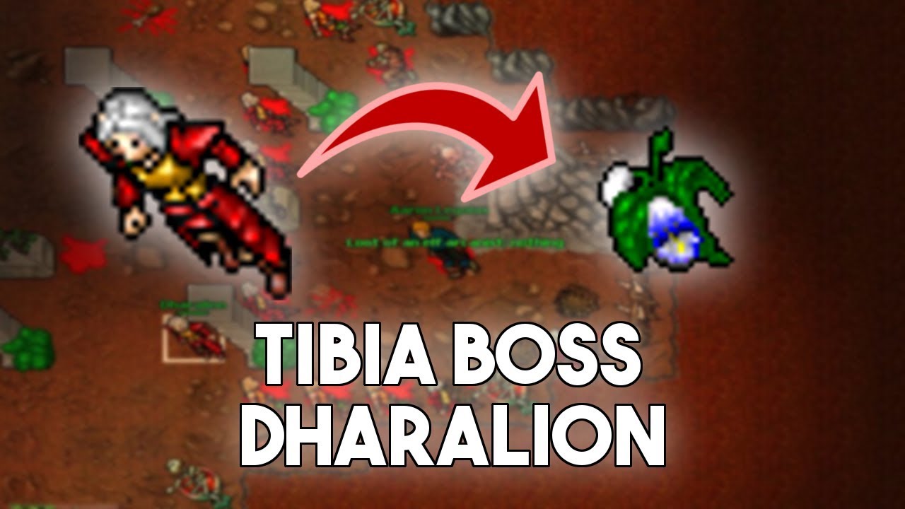 [PL] Tibia Boss | Dharalion (Elf Fortress)