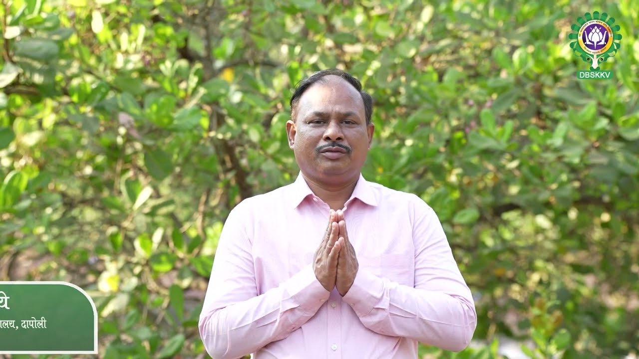 काजूच्या सुधारित जाती 