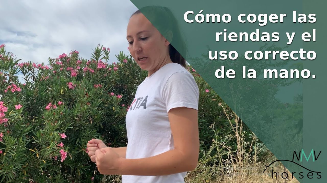 🐴Uso correcto de las manos y rienda montando a caballo🐴Ayudas naturales montando a caballo🐴