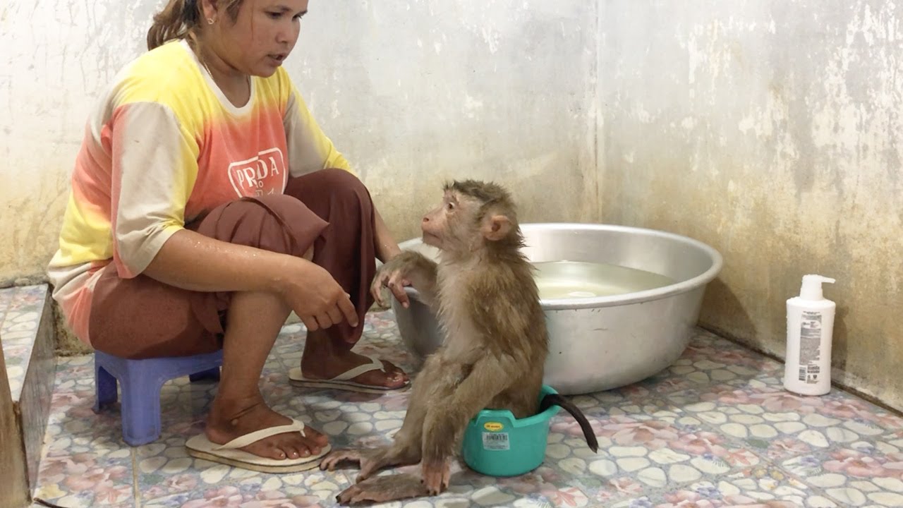 Little Jason Perplex Shy Learn To Use Baby Potty While Take Bath