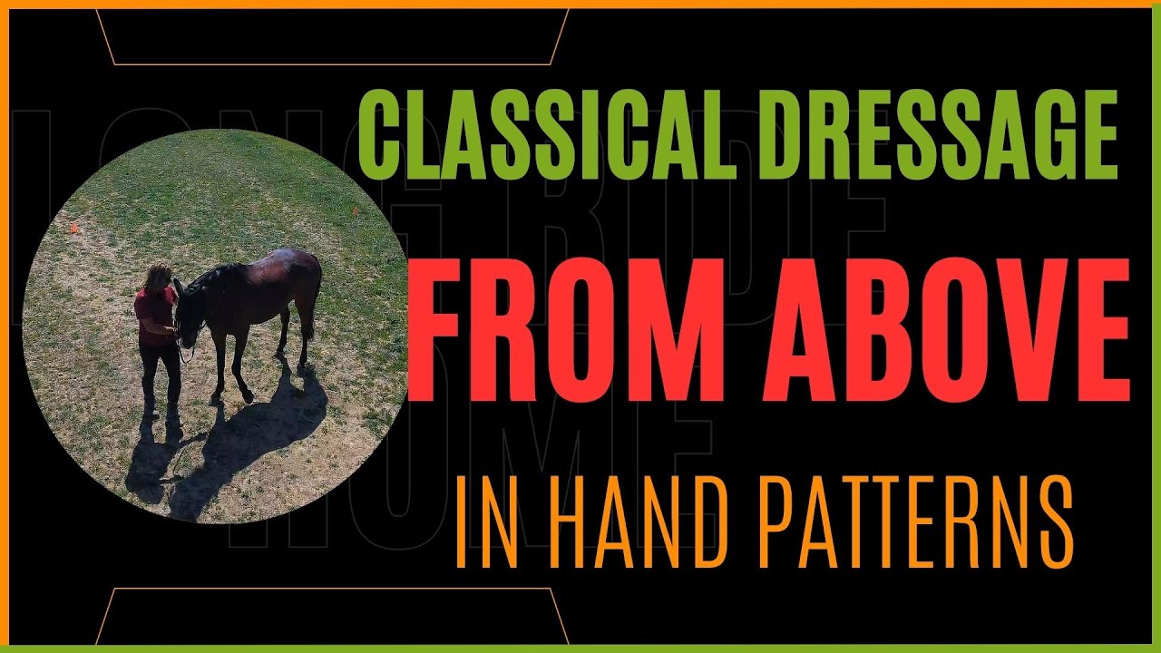 Make Horse Training Easy!  Nuno Oliveira's Foundation Patterns In Hand - Ariel View