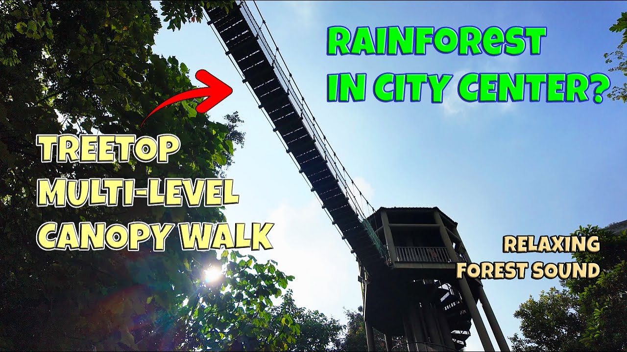 The Best Nature Escape Right in KL City Centre? | KL Eco Forest Park, Kuala Lumpur