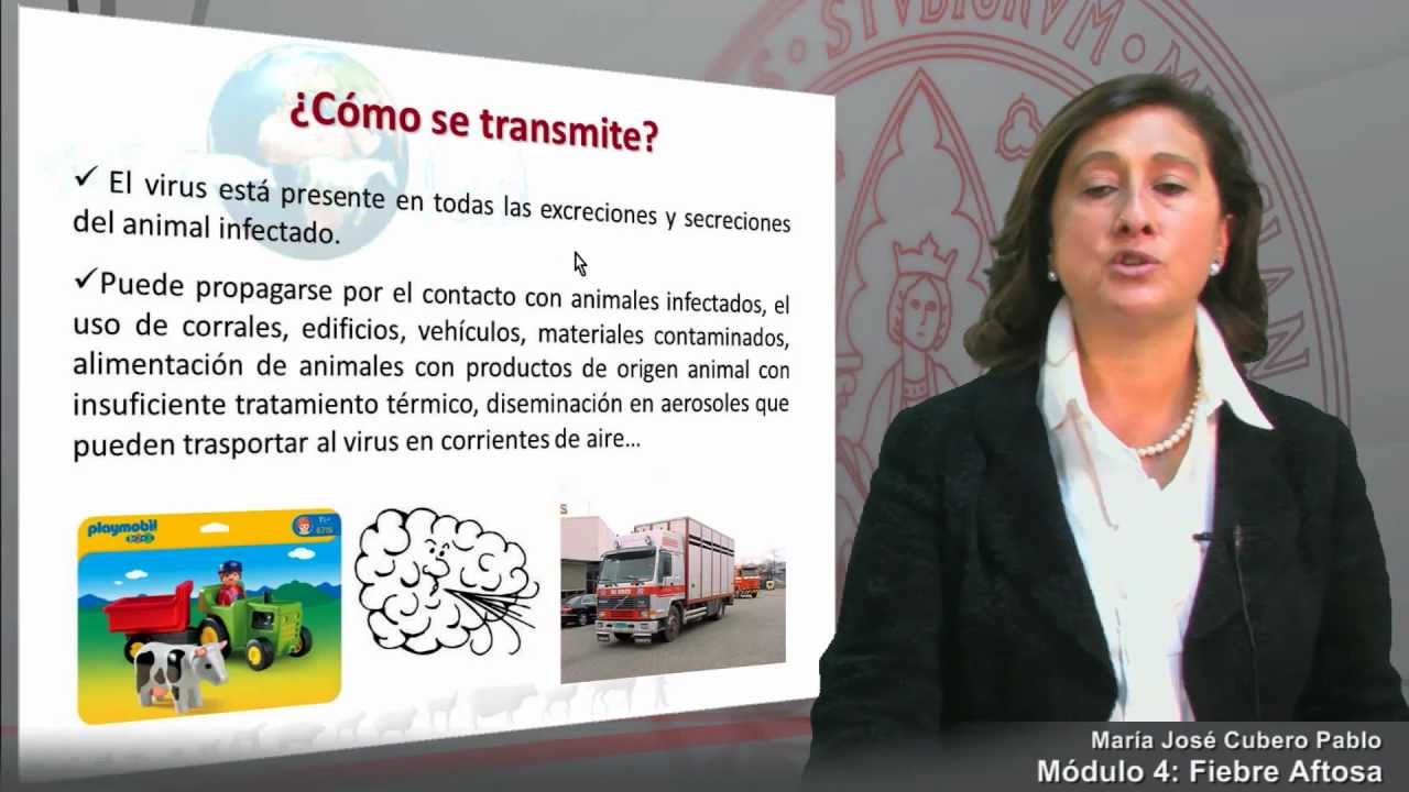 Módulo 4. Fiebre Aftosa