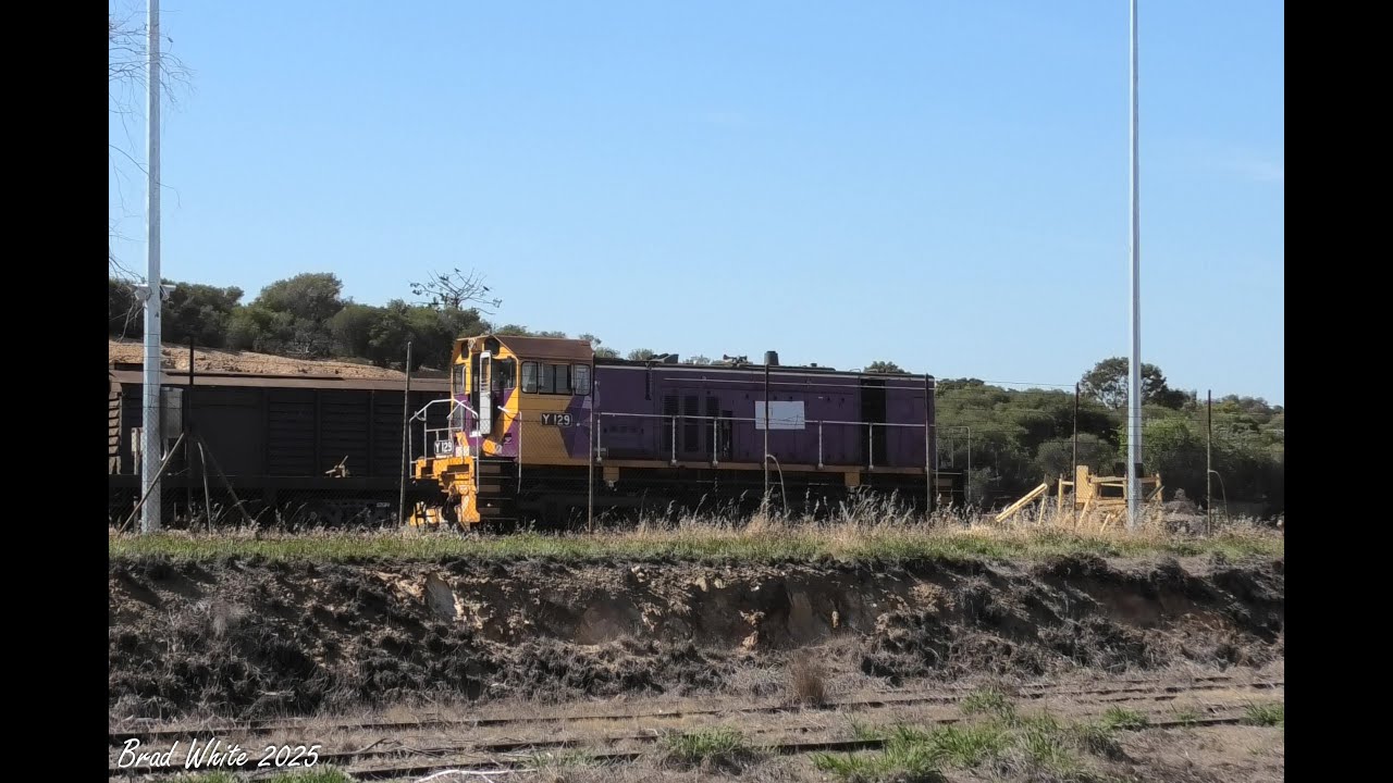 Y129 shunting at the Bendigo North workshops- 12/12/25