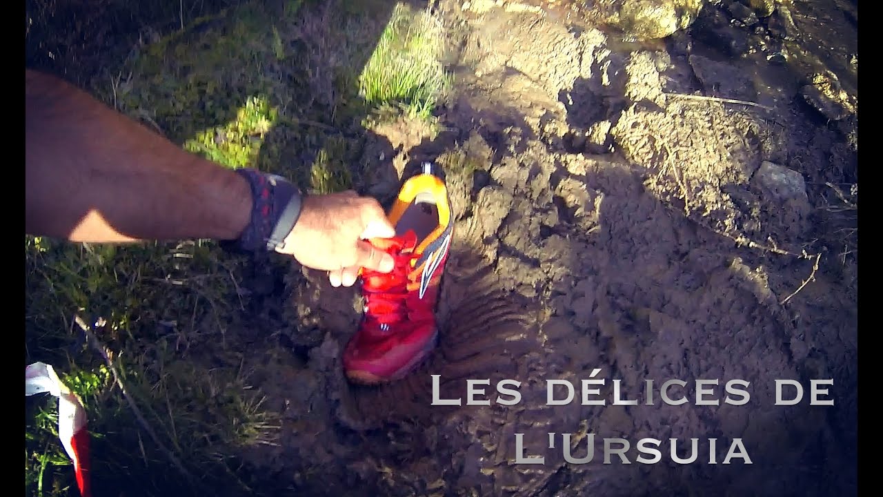 Les d&eacute;lices de l'Ursuia 2015