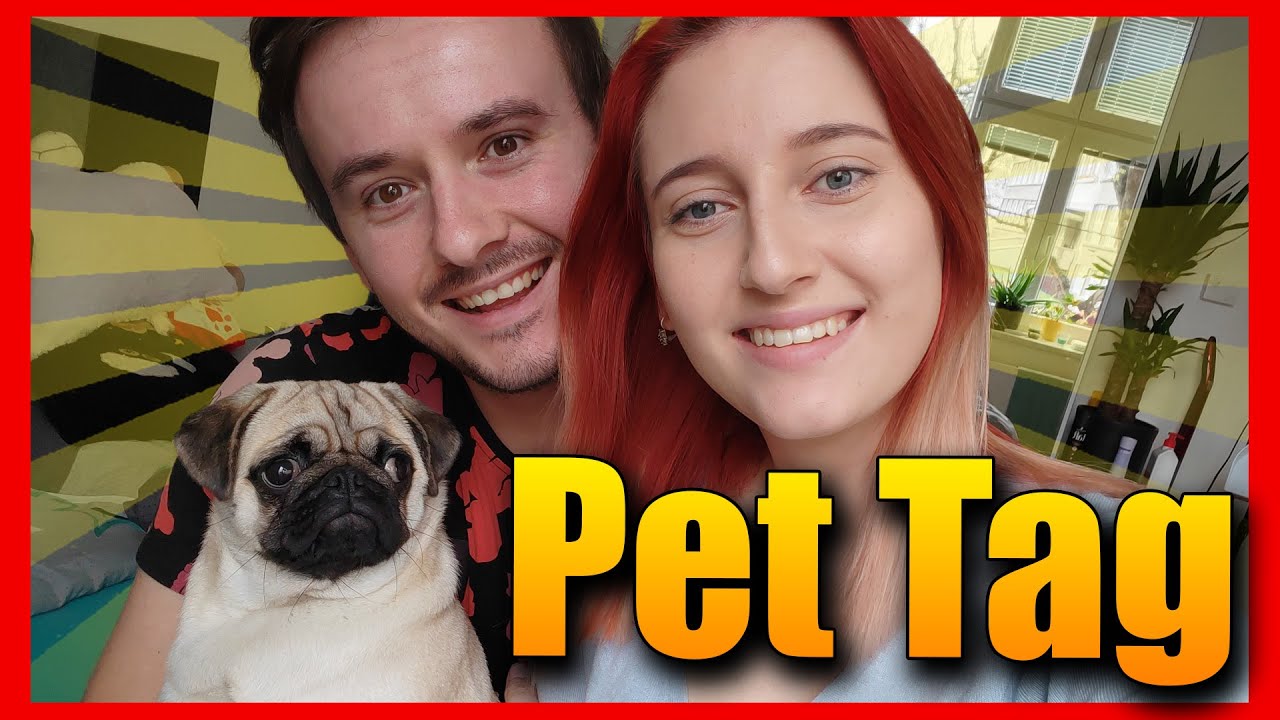 TOHLE JE NÁŠ MOPSÍK MIA!🤗 PET TAG w/@Makousek