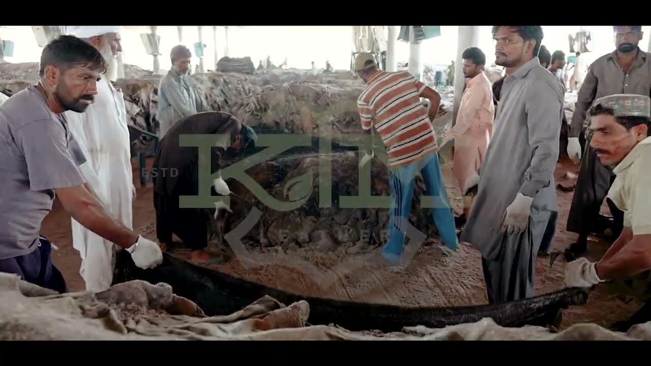 Rawhide Sourcing | Khawaja Tanneries | KTM Leather| Multan