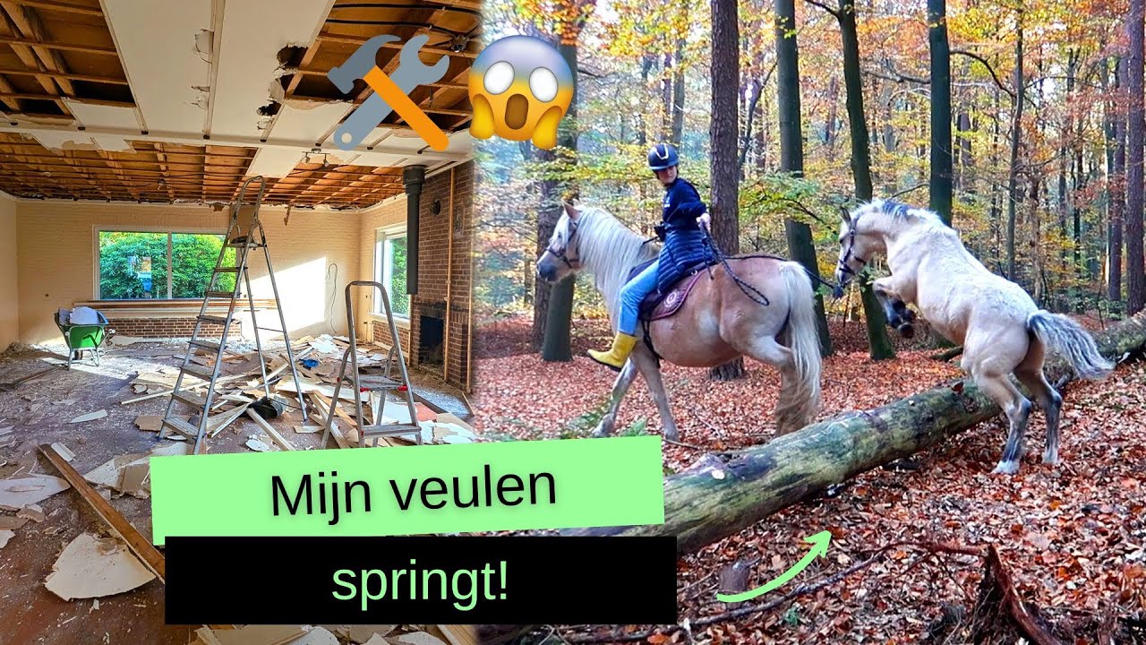 Kayenta zijn eerste SPRONG & huis GESLOOPT?! | BROVENNA | VLOG #160