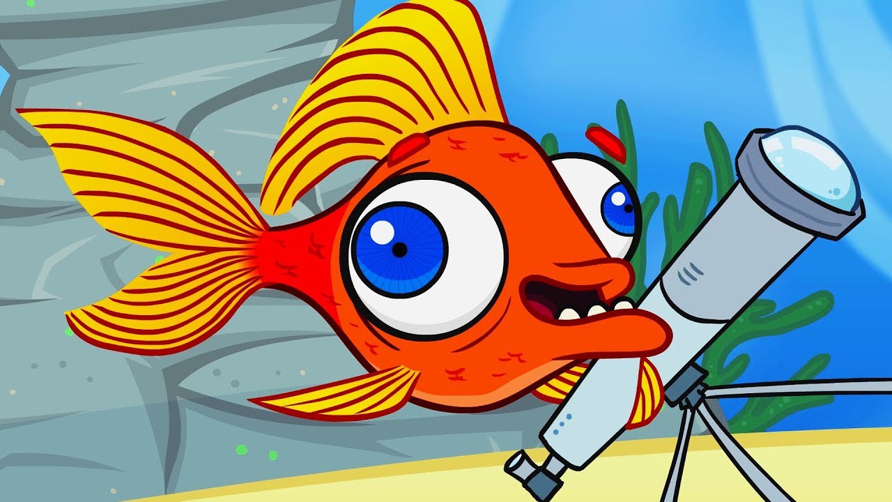 MAX, O PEIXE TELESCÓPIO 🐠