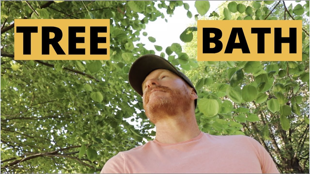 how to do TREE BATHING: the Japanese Therapy (meditation) that helped me HEAL my Skin and Gut