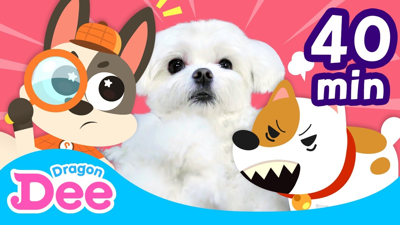 Be careful with Puppies 🐕 | Safety Songs Compilation | 40min | Animal Songs | Dragon Dee Kids Songs